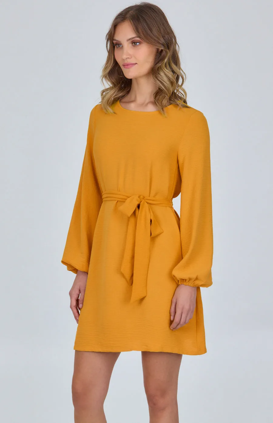 Round Neckline Long Sleeve Shift Dress